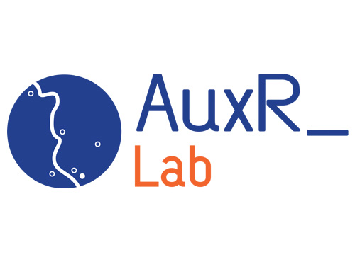 Logo AuxR_Lab