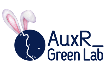 04_Avril AuxR_Green Lab